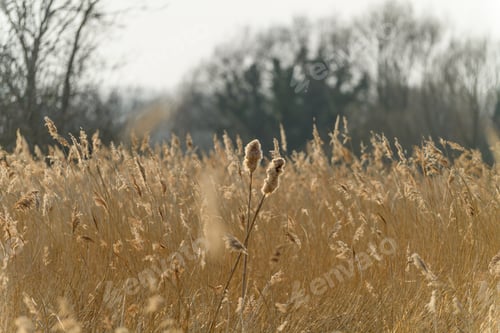 Preview: winter neutrals blowing in the spring breeze
