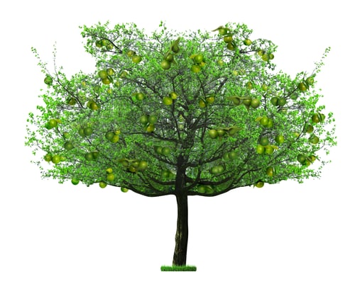 Preview: Tree with green tangerines and leaves isolated on white
