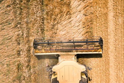 Preview: Aerial view of combine harvester harvesting large ripe wheat field. Agriculture from drone view