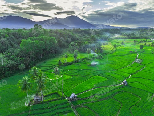 Preview: Beautiful morning view indonesia panorama landscape forest with beauty color and sky natural light