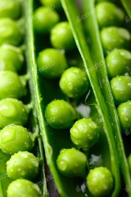 Preview: Macro shot of green sugar snap peas with water drops