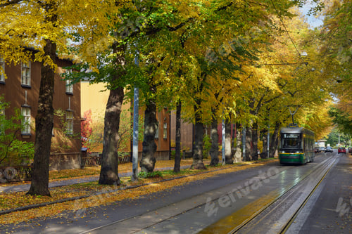 Preview: Tram in European city in autumn.