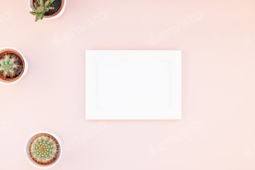 Preview: Frame mock up with decorative cactuses