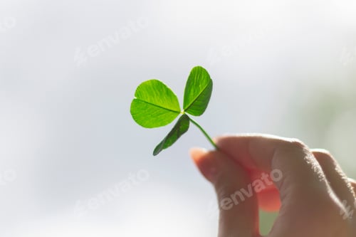 Preview: Clover