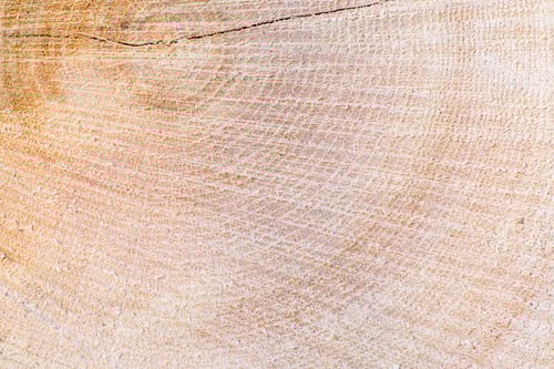 Preview: Closeup of a dense wood texture