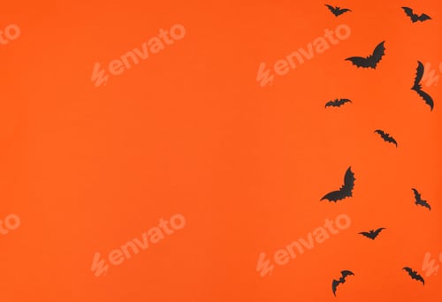 Preview: Halloween concept. Black paper bats on orange background. Greeting or invitation card. Flat lay