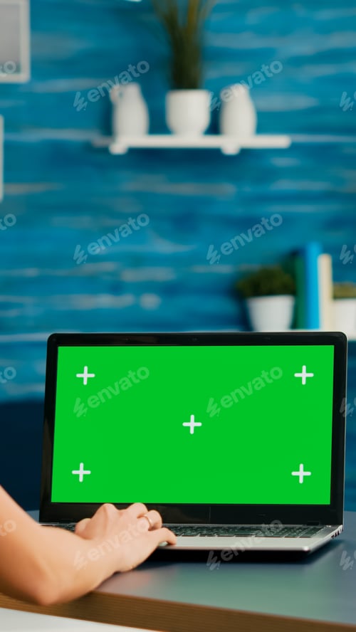 Preview: Freelancer woman searching business advertising using isolated pc