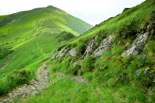 Preview: Beautiful landscape
