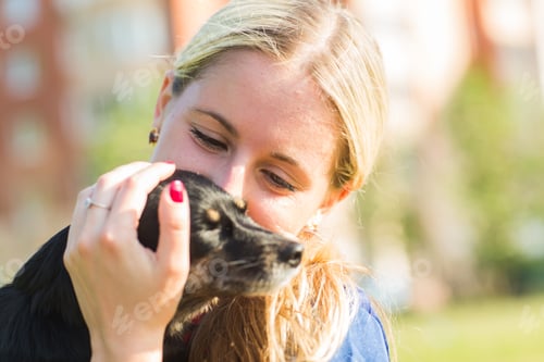 Preview: Concept of pets and happy owner - woman is holding a dog outdoors.