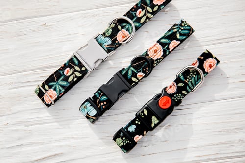 Preview: Dog Collar and Leash set. Pet Supplies and Walking Gear Collection