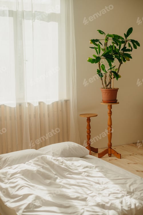 Preview: white bed sheets, interior design, plants, wooden foor
