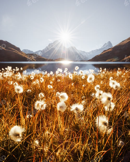 Preview: Picturesque view on Bachalpsee lake in Swiss Alps mountains