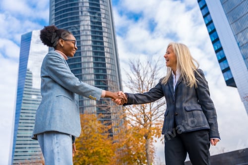 Preview: Multi-ethnic businesswomen and executives, smiling and greeting by shaking hands in a business park