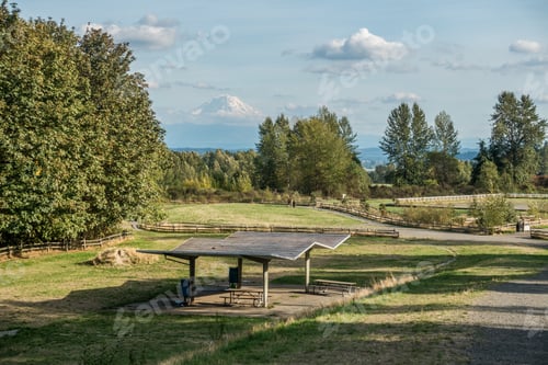 Preview: A View Of Mount Rainier From Grandview Off-Leash Dog Park In Seatac, Washington.