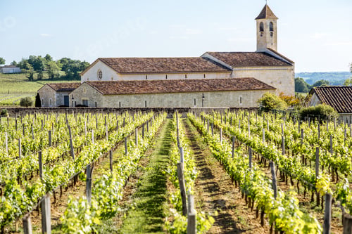 Preview: Saint Emilion vineyards in France