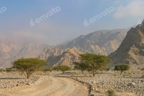 Preview: A Wadi Near Ras Al Khaimah City