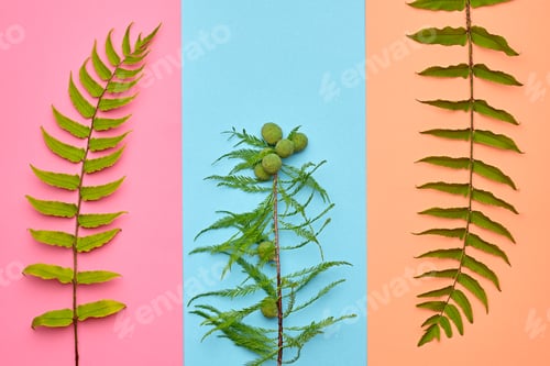 Preview: Tropical