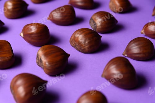 Preview: Ripe chestnuts close up. Raw Chestnuts for Christmas. Fresh sweet chestnut. Food on violet