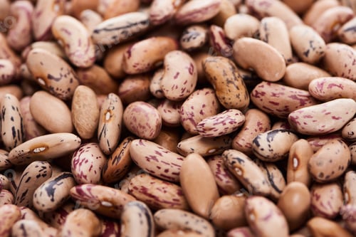 Preview: Close up View of Uncooked Organic Pinto Beans