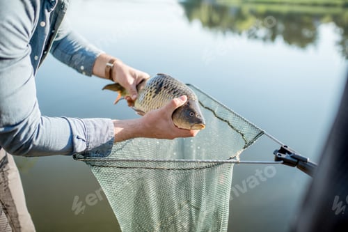 Preview: Fisherman getting fish from the net