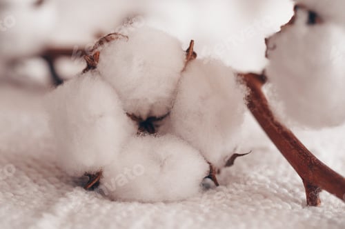 Preview: Cozy cotton flower