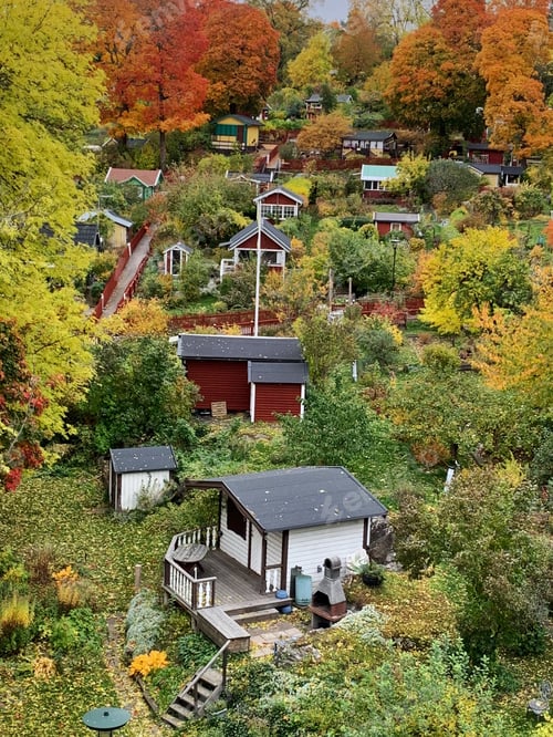 Preview: Autumn in Sweden