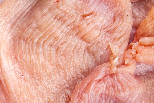 Preview: raw turkey meat fillet slice fresh poultry meat healthy eating cooking meal food snack on the table