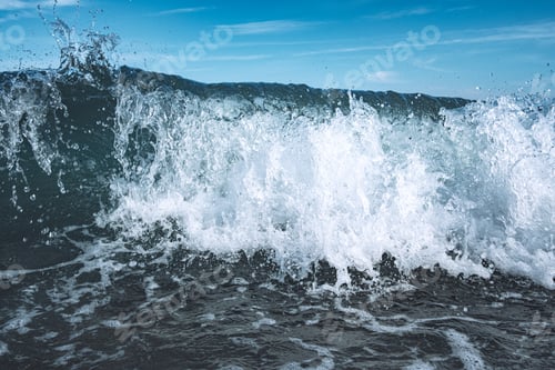 Preview: Wave