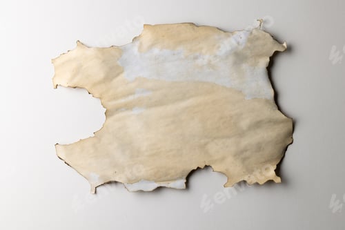 Preview: Burned and stained piece of paper with copy space on white background