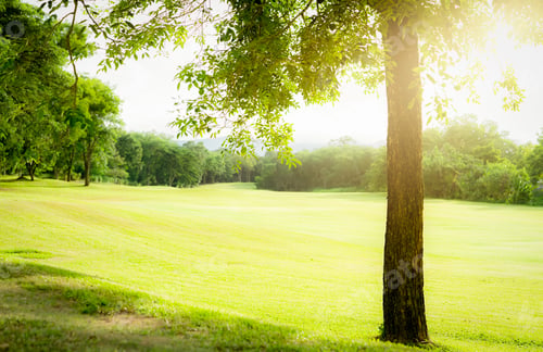 Preview: Golf course with green turf landscape. Green grass field with forest and mountain as background.