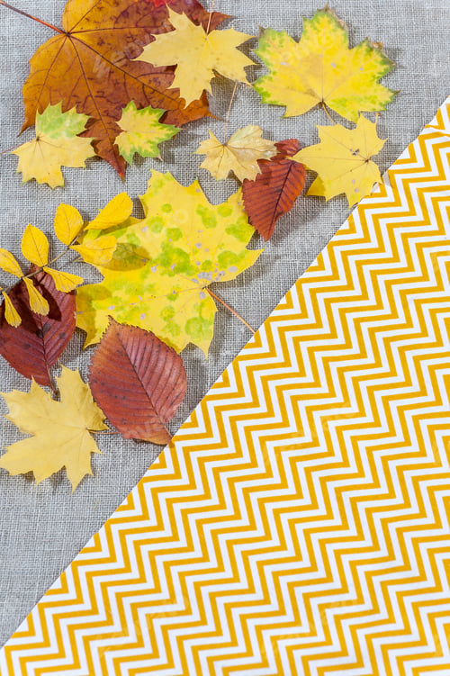 Preview: Fabric background with autumn leaves and various textures.