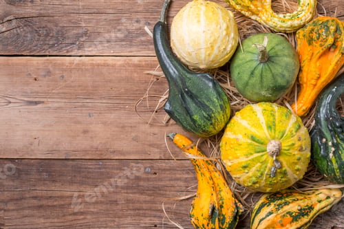 Preview: Autumn frame from decorative Pumpkins