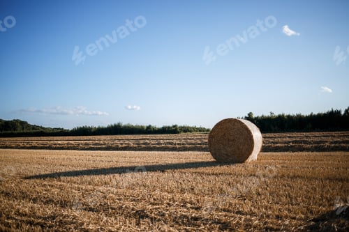 Preview: View of stubble meadows, valleys, and a couple of bales of hay. Mown field with hay