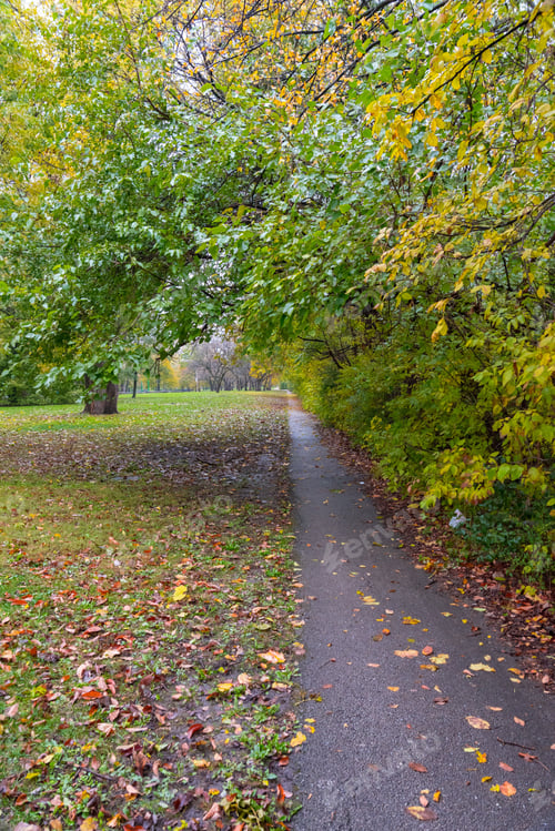 Preview: Bicycle Trail In The Autumn Park In November