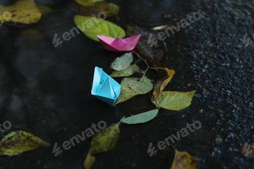 Preview: Paper boats in puddle outdoor in rainy weather