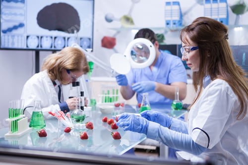 Preview: Food scientist working a research laboratory in white coat