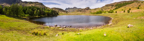 Preview: Blea Tarn mountain landscape, Lake District, Cumbria, England, UK, Europe