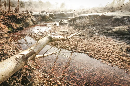 Preview: autumnal landscape