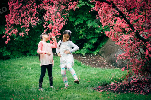 Preview: Two girls playing under Azalea tree in spring