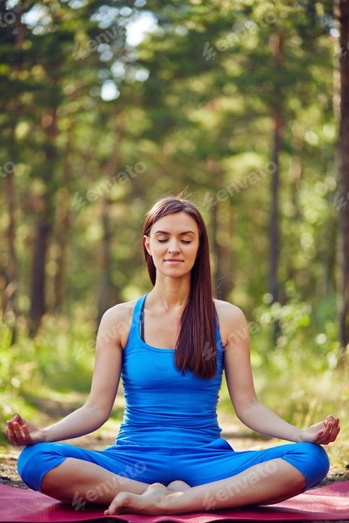 Preview: Meditation