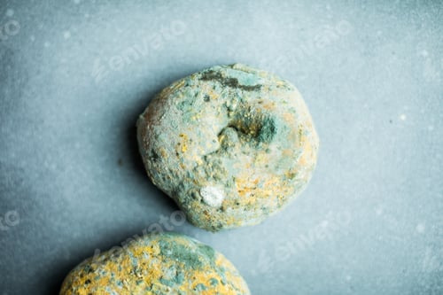 Preview: moldy bagel bread. spoiled bakery products.