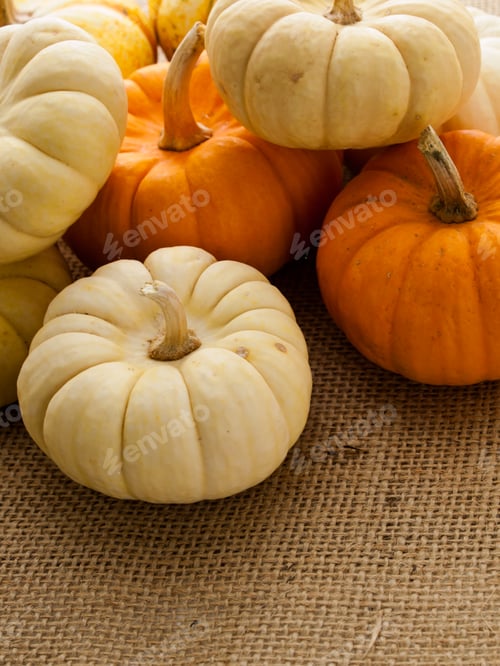Preview: Mini Pumpkins