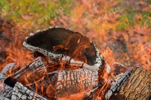 Preview: Fire is burning in a large bonfire where there is a large flame of wood fire and log embers