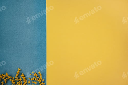 Vista previa: Blue and yellow Paper backround with mimosa