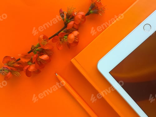 Preview: Orange colour flat lay