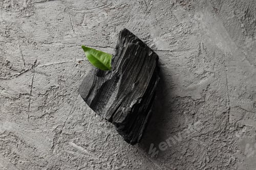 Preview: Natural wood charcoal on gray textured background