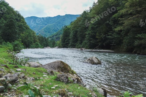 Preview: Wildlife travel. Rest, meditation, relaxation, environmental friendliness in the mountains.mental