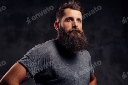 Preview: Portrait of a hipster with full beard and stylish haircut, dressed in a gray t-shirt in a studio