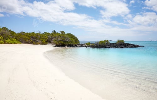 Preview: Pristine beach on an uninhabited island, Galapagos Islands, Ecuador.
