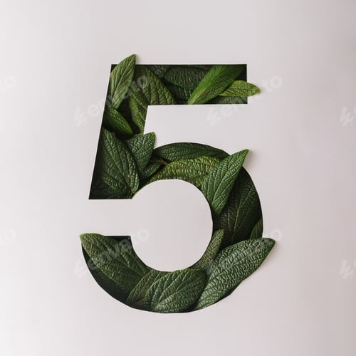 Preview: Number five shape cutout with green leaves. Nature concept. Flat lay.